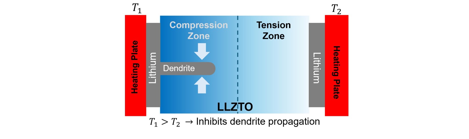 抑制枝晶生长 布朗大学新策略解决下一代固态电池的长期难题