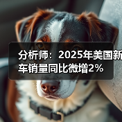 分析师：2025年美国新车销量同比微增2%（图3）