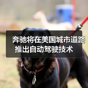 奔驰将在美国城市道路推出自动驾驶技术（图3）