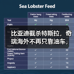 比亚迪截杀特斯拉，奇瑞海外不再只靠油车，新能源致中外地位生变！（图2）