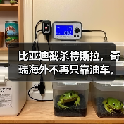 比亚迪截杀特斯拉，奇瑞海外不再只靠油车，新能源致中外地位生变！（图4）