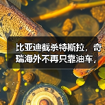 比亚迪截杀特斯拉，奇瑞海外不再只靠油车，新能源致中外地位生变！（图3）