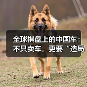 全球棋盘上的中国车：不只卖车，更要“造局”（图2）