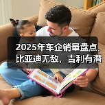2025年车企销量盘点，比亚迪无敌，吉利有潜力，奇瑞赚外币？（图4）