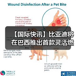 【国际快讯】比亚迪将在巴西推出首款灵活燃料插电式混合动力车;起亚2026年全球销量目标为335万辆(图2) 【国际快讯】比亚迪将在巴西推出首款灵活燃料插电式混合动力车;起亚2026年全球销量目标为335万辆(图2)