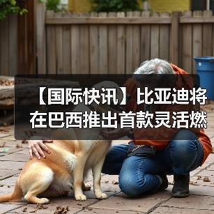 【国际快讯】比亚迪将在巴西推出首款灵活燃料插电式混合动力车;起亚2026年全球销量目标为335万辆(图3) 【国际快讯】比亚迪将在巴西推出首款灵活燃料插电式混合动力车;起亚2026年全球销量目标为335万辆(图3)