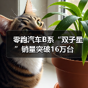 零跑汽车B系“双子星”销量突破16万台(图4) 零跑汽车B系“双子星”销量突破16万台(图4)