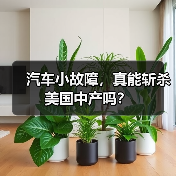 汽车小故障,真能斩杀美国中产吗?(图2) 汽车小故障,真能斩杀美国中产吗?(图2)