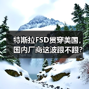 特斯拉FSD贯穿美国,国内厂商这波跟不跟?(图4) 特斯拉FSD贯穿美国,国内厂商这波跟不跟?(图4)