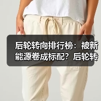 后轮转向排行榜:被新能源卷成标配?后轮转向杀入20万区间(图2) 后轮转向排行榜:被新能源卷成标配?后轮转向杀入20万区间(图2)