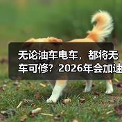 无论油车电车,都将无车可修?2026年会加速洗牌吗?(图4) 无论油车电车,都将无车可修?2026年会加速洗牌吗?(图4)
