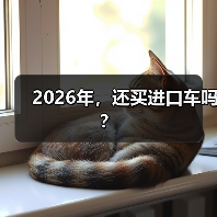2026年,还买进口车吗?(图4) 2026年,还买进口车吗?(图4)