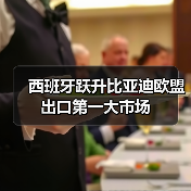 西班牙跃升比亚迪欧盟出口第一大市场(图1) 西班牙跃升比亚迪欧盟出口第一大市场(图1)