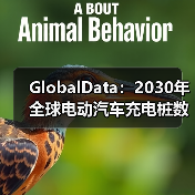 GlobalData:2030年全球电动汽车充电桩数量将达1,100万台(图2) GlobalData:2030年全球电动汽车充电桩数量将达1,100万台(图2)