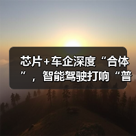 芯片+车企深度“合体”，智能驾驶打响“普及战”（图4）