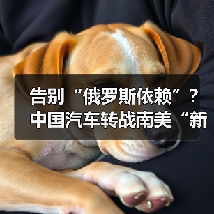 告别“俄罗斯依赖”？中国汽车转战南美“新大陆”（图3）