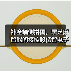 补全端侧拼图，黑芝麻智能间接控股亿智电子（图3）