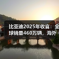 比亚迪2025年收官：全球销量460万辆，海外市场成增长新引擎（图4）