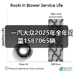 一汽大众2025年全年销量1587065辆(图4) 一汽大众2025年全年销量1587065辆(图4)