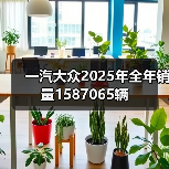 一汽大众2025年全年销量1587065辆(图3) 一汽大众2025年全年销量1587065辆(图3)