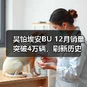 昊铂埃安BU 12月销量突破4万辆,刷新历史销售记录(图4) 昊铂埃安BU 12月销量突破4万辆,刷新历史销售记录(图4)