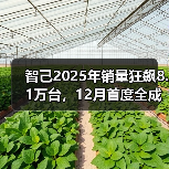 智己2025年销量狂飙8.1万台,12月首度全成本盈利(图2) 智己2025年销量狂飙8.1万台,12月首度全成本盈利(图2)