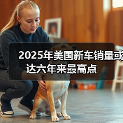 2025年美国新车销量或达六年来最高点(图1) 2025年美国新车销量或达六年来最高点(图1)