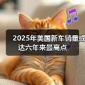 2025年美国新车销量或达六年来最高点(图2) 2025年美国新车销量或达六年来最高点(图2)