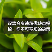 双离合变速箱优缺点揭秘：你不可不知的决策指南（图3）