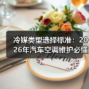 冷媒类型选择标准:2026年汽车空调维护必懂指南(图4) 冷媒类型选择标准:2026年汽车空调维护必懂指南(图4)