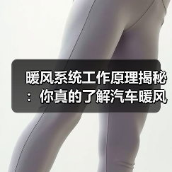 暖风系统工作原理揭秘:你真的了解汽车暖风吗?(图4) 暖风系统工作原理揭秘:你真的了解汽车暖风吗?(图4)