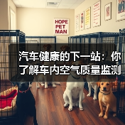 汽车健康的下一站：你了解车内空气质量监测吗？（图3）