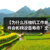 【为什么压缩机工作条件会影响设备寿命?全解剖】(图1) 【为什么压缩机工作条件会影响设备寿命?全解剖】(图1)