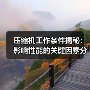 压缩机工作条件揭秘：影响性能的关键因素分析（图3）