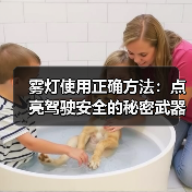 雾灯使用正确方法：点亮驾驶安全的秘密武器（图3）