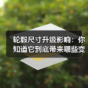 轮毂尺寸升级影响：你知道它到底带来哪些变化吗？（图3）