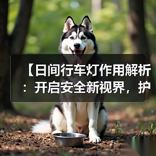 【日间行车灯作用解析：开启安全新视界，护你行车无忧】（图2）