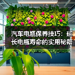 汽车电瓶保养技巧:延长电瓶寿命的实用秘籍(图4) 汽车电瓶保养技巧:延长电瓶寿命的实用秘籍(图4)