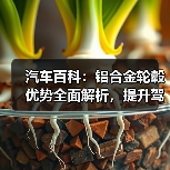 汽车百科:铝合金轮毂优势全面解析,提升驾驶体验的秘密武器(图4) 汽车百科:铝合金轮毂优势全面解析,提升驾驶体验的秘密武器(图4)