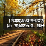 【汽车轮胎磨损检查方法:掌握这五招,延长轮胎寿命】(图1) 【汽车轮胎磨损检查方法:掌握这五招,延长轮胎寿命】(图1)