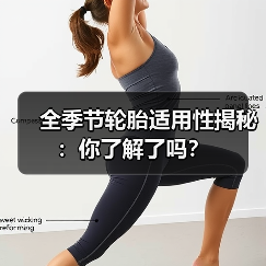 全季节轮胎适用性揭秘:你了解了吗?(图4) 全季节轮胎适用性揭秘:你了解了吗?(图4)