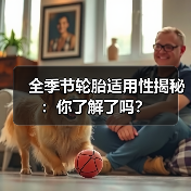 全季节轮胎适用性揭秘:你了解了吗?(图3) 全季节轮胎适用性揭秘:你了解了吗?(图3)
