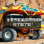 全季节轮胎适用性揭秘:你了解了吗?(图1) 全季节轮胎适用性揭秘:你了解了吗?(图1)
