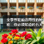 全季节轮胎适用性的秘密：你必须知道的五大真相（图1）