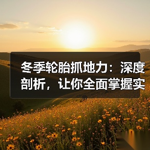 冬季轮胎抓地力:深度剖析,让你全面掌握实战技巧(图4) 冬季轮胎抓地力:深度剖析,让你全面掌握实战技巧(图4)