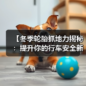 【冬季轮胎抓地力揭秘:提升你的行车安全新战略】(图1) 【冬季轮胎抓地力揭秘:提升你的行车安全新战略】(图1)