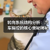 转向系统结构分析:汽车操控的核心奥秘揭秘(图2) 转向系统结构分析:汽车操控的核心奥秘揭秘(图2)
