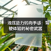 液压助力转向手感:驾驶体验的秘密武器(图4) 液压助力转向手感:驾驶体验的秘密武器(图4)