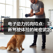 电子助力转向特点:革新驾驶体验的秘密武器(图3) 电子助力转向特点:革新驾驶体验的秘密武器(图3)