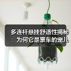 多连杆悬挂舒适性揭秘:为何它是豪车的宠儿(图3) 多连杆悬挂舒适性揭秘:为何它是豪车的宠儿(图3)